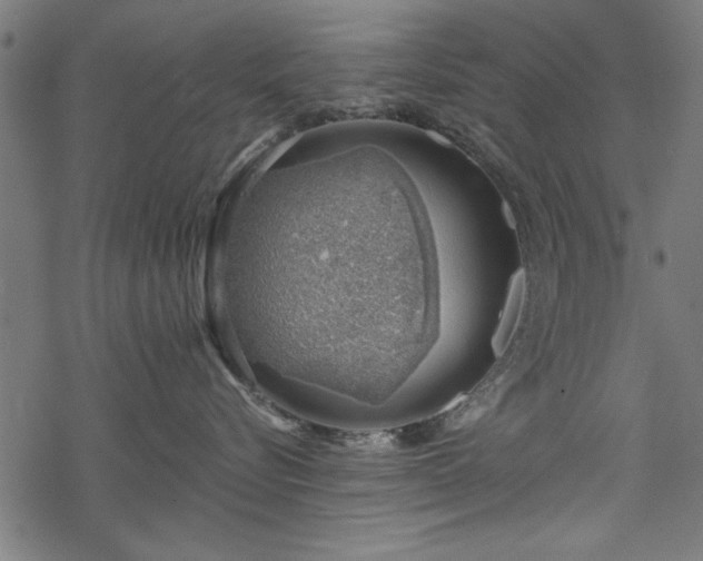 X0000068850576200605081218