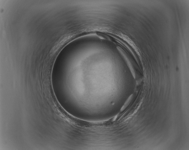 X0000068850577200605081217