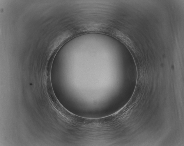 X0000068850578200605081217