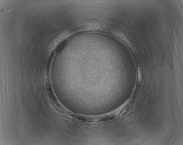 X0000068850579200605081217