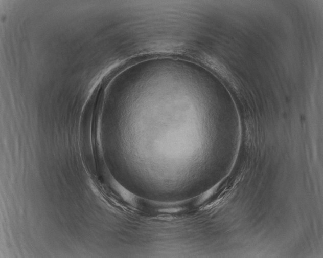 X0000068850580200605081217