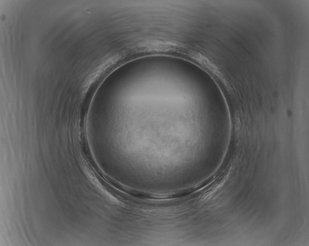 X0000068850581200605081217