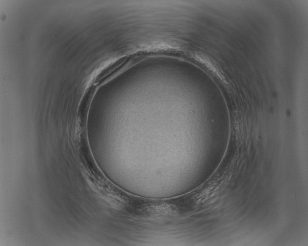 X0000068850583200605081217