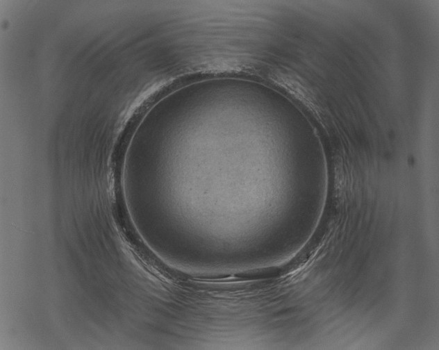 X0000068850584200605081217