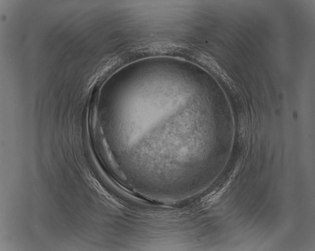 X0000068850585200605081217