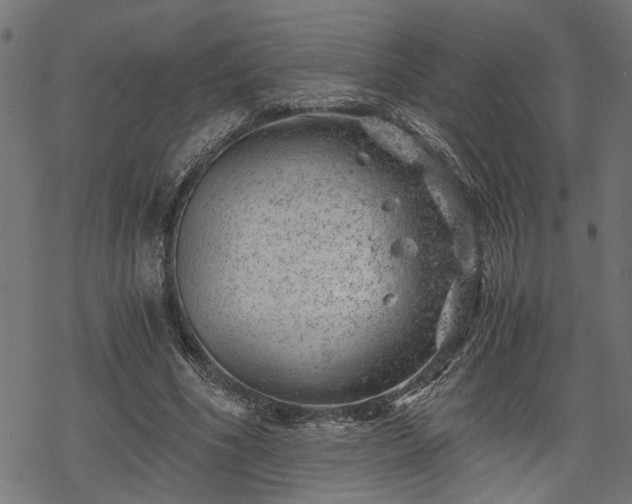 X0000068850586200605081217