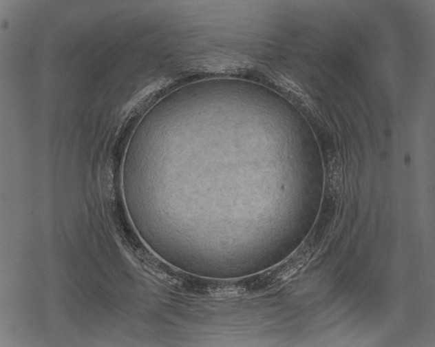 X0000068850587200605081217