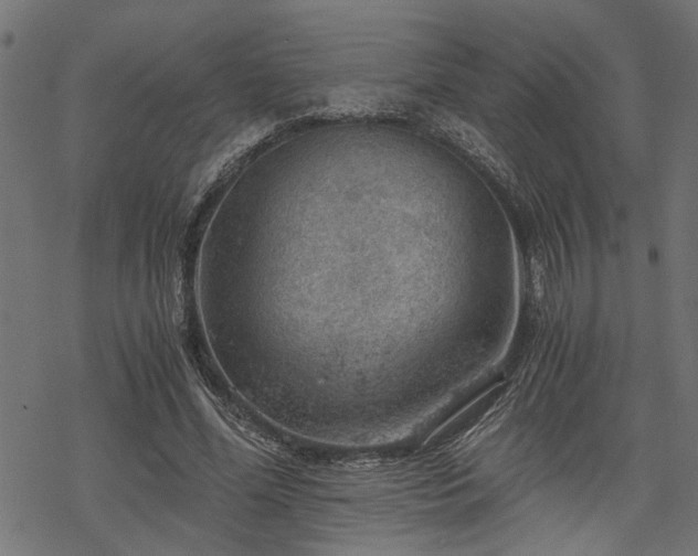 X0000068850588200605081217