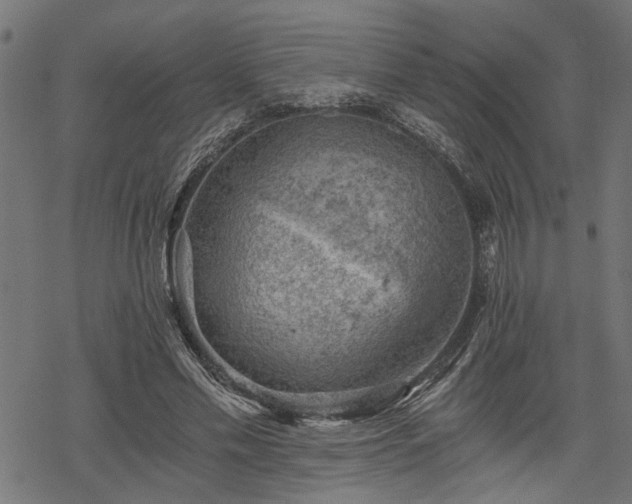 X0000068850589200605081217