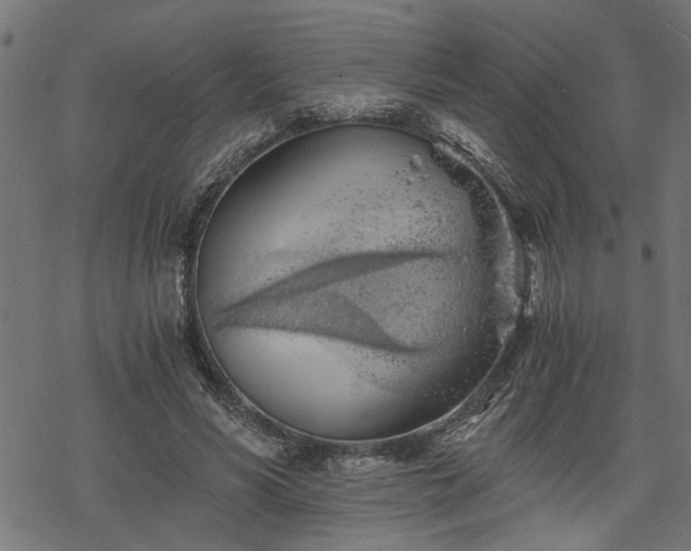 X0000068850590200605081217