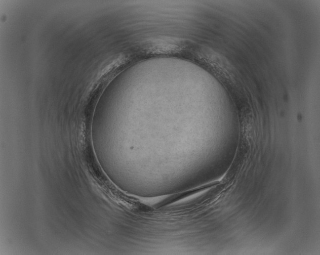 X0000068850591200605081217