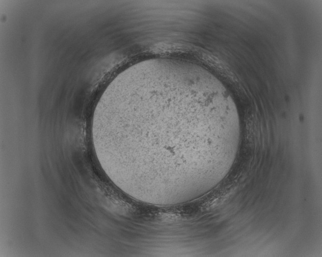 X0000068850592200605081217