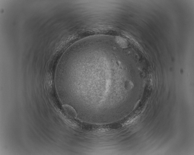 X0000068850593200605081217