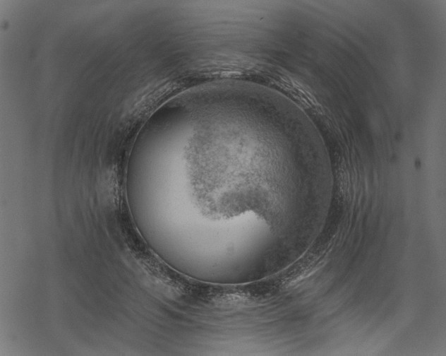 X0000068850594200605081217