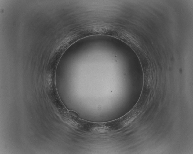 X0000068850595200605081217