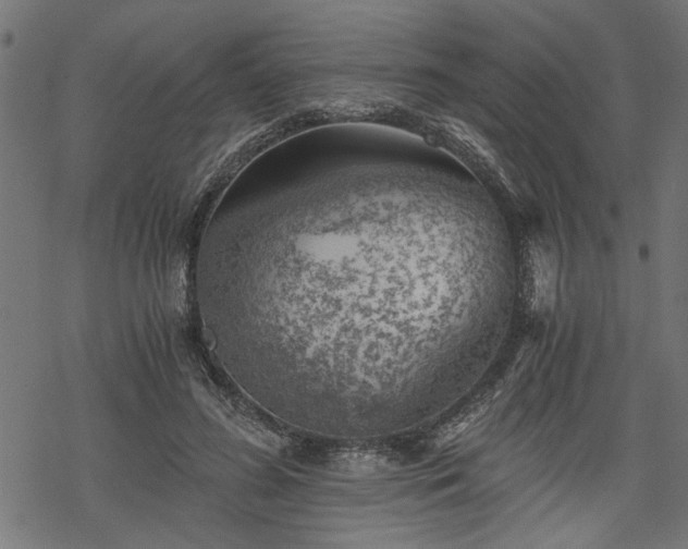 X0000068850596200605081217