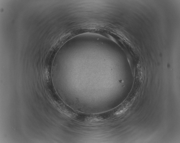 X0000068850597200605081217