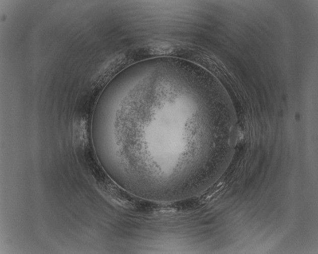 X0000068850598200605081217