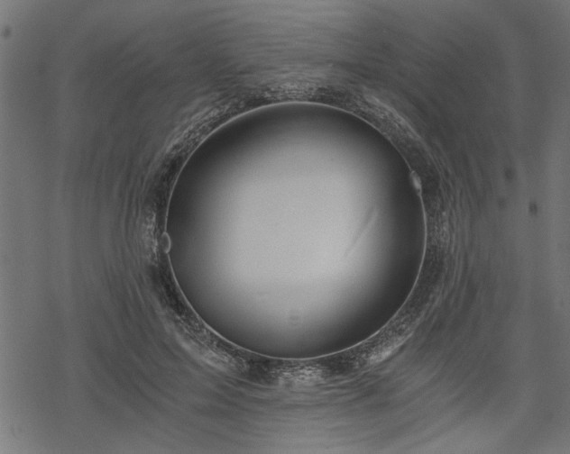 X0000068850599200605081217