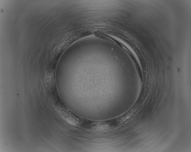 X0000068850601200605081217