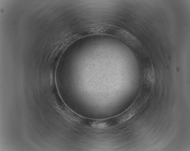 X0000068850602200605081217