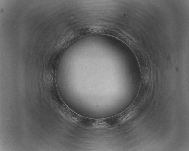 X0000068850603200605081217