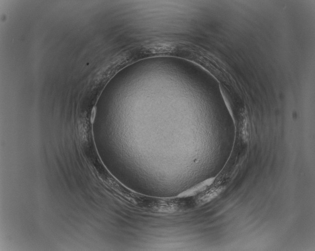 X0000068850604200605081217