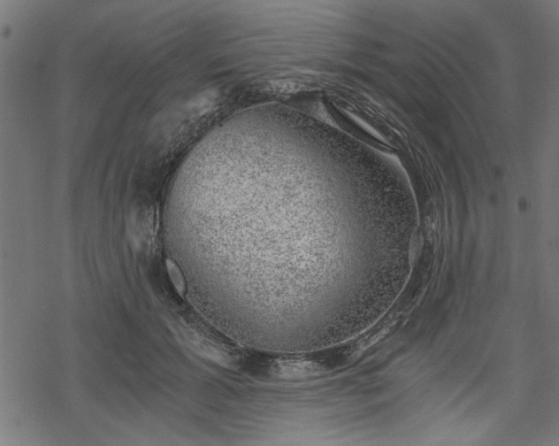 X0000068850605200605081217