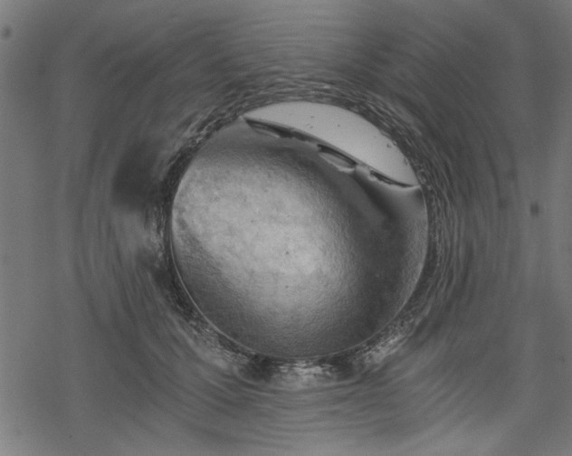 X0000068850607200605081217