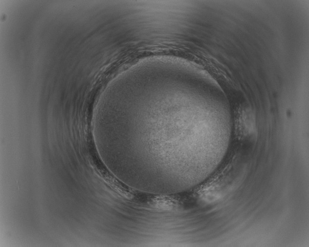 X0000068850608200605081217