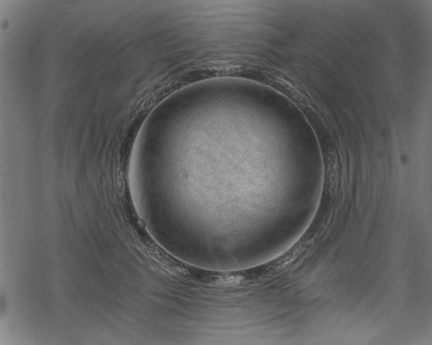 X0000068850609200605081217