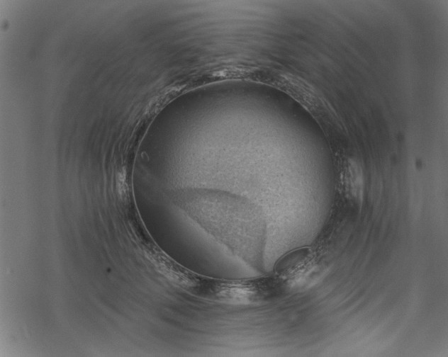 X0000068850610200605081217