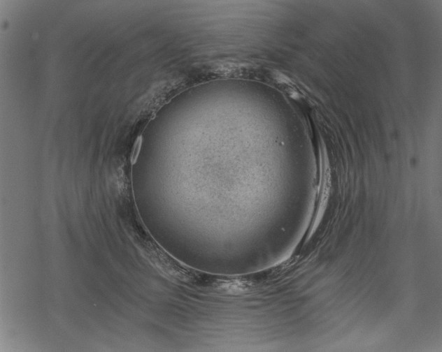 X0000068850611200605081217