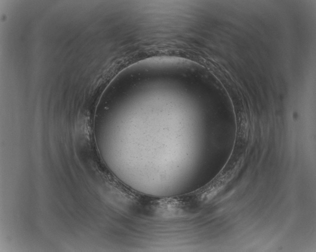 X0000068850612200605081217