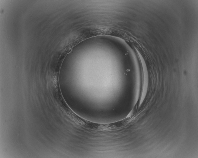 X0000068850613200605081217