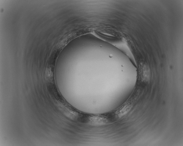 X0000068850614200605081216