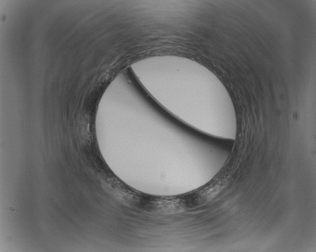 X0000068850615200605081216