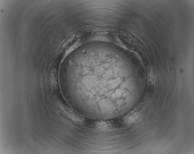 X0000068850616200605081216