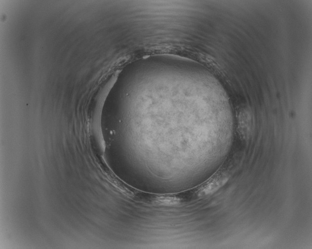 X0000068850617200605081216