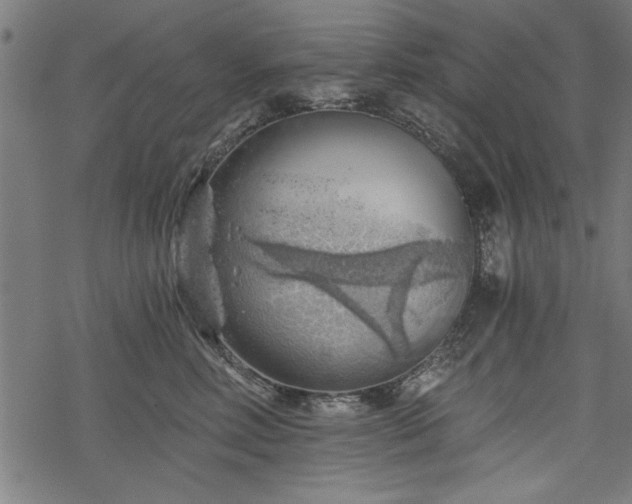 X0000068850618200605081216