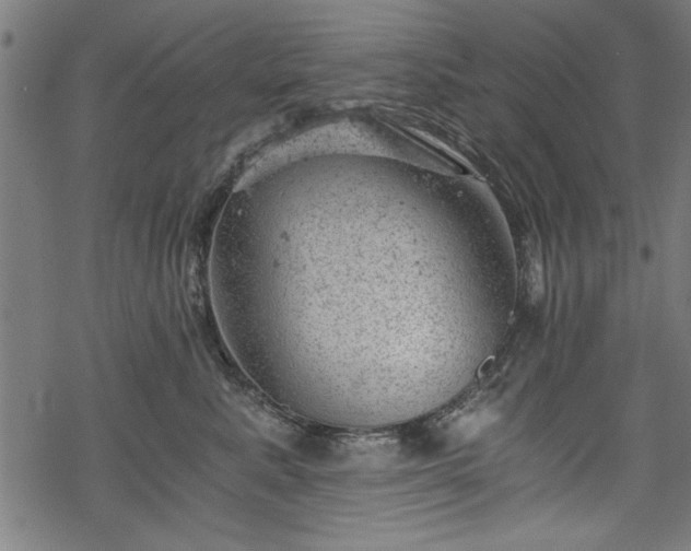 X0000068850619200605081216