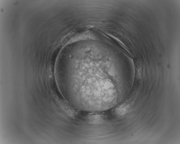 X0000068850620200605081216