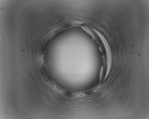 X0000068850621200605081216