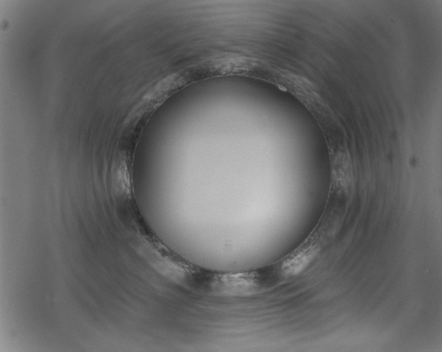 X0000068850622200605081216