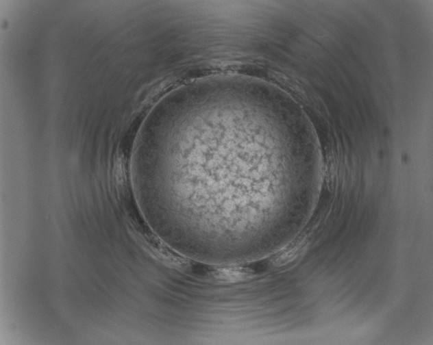 X0000068850623200605081216