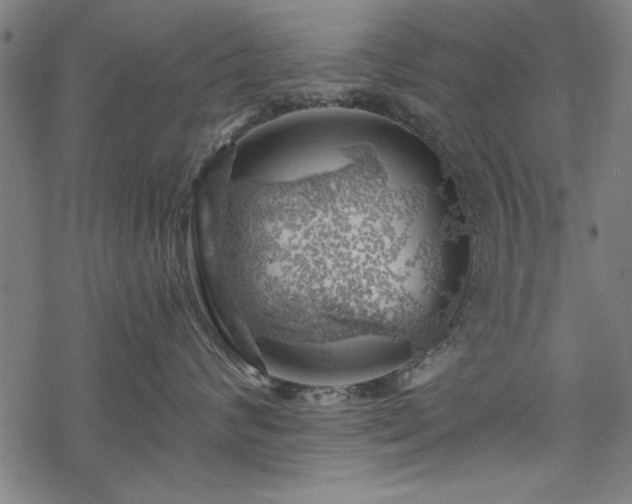 X0000068850624200605081216