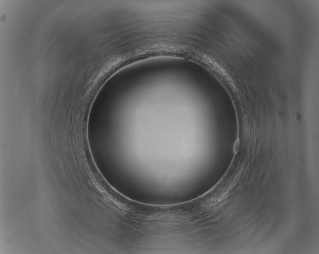 X0000068850625200605081215