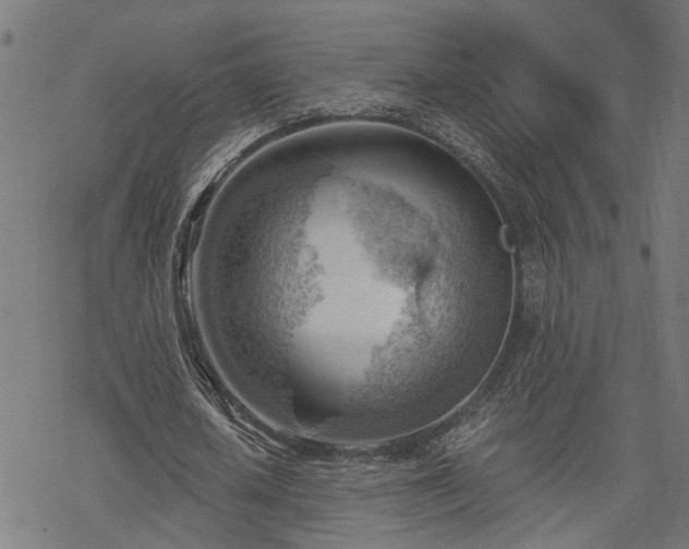 X0000068850626200605081215