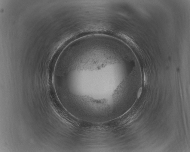 X0000068850627200605081215