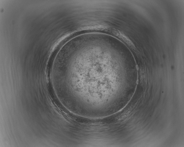 X0000068850628200605081215